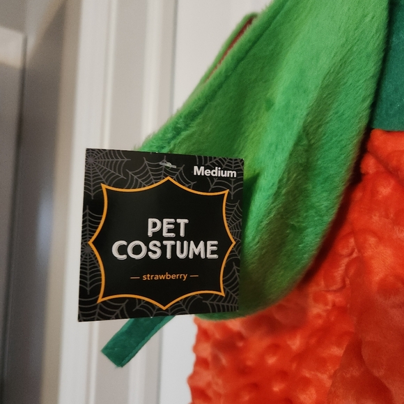NWT. Pet costume size medium. Strawberry. - Picture 2 of 5